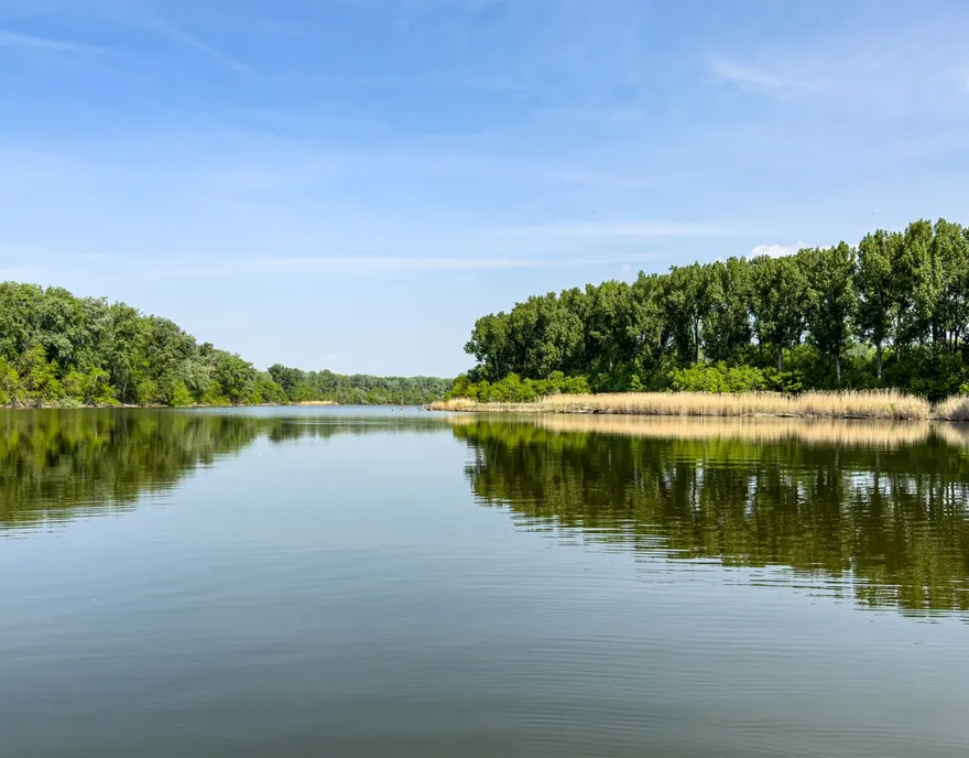 A Tisza Mártélynál, Csongrád-Csanád vármegyében, fás parttal